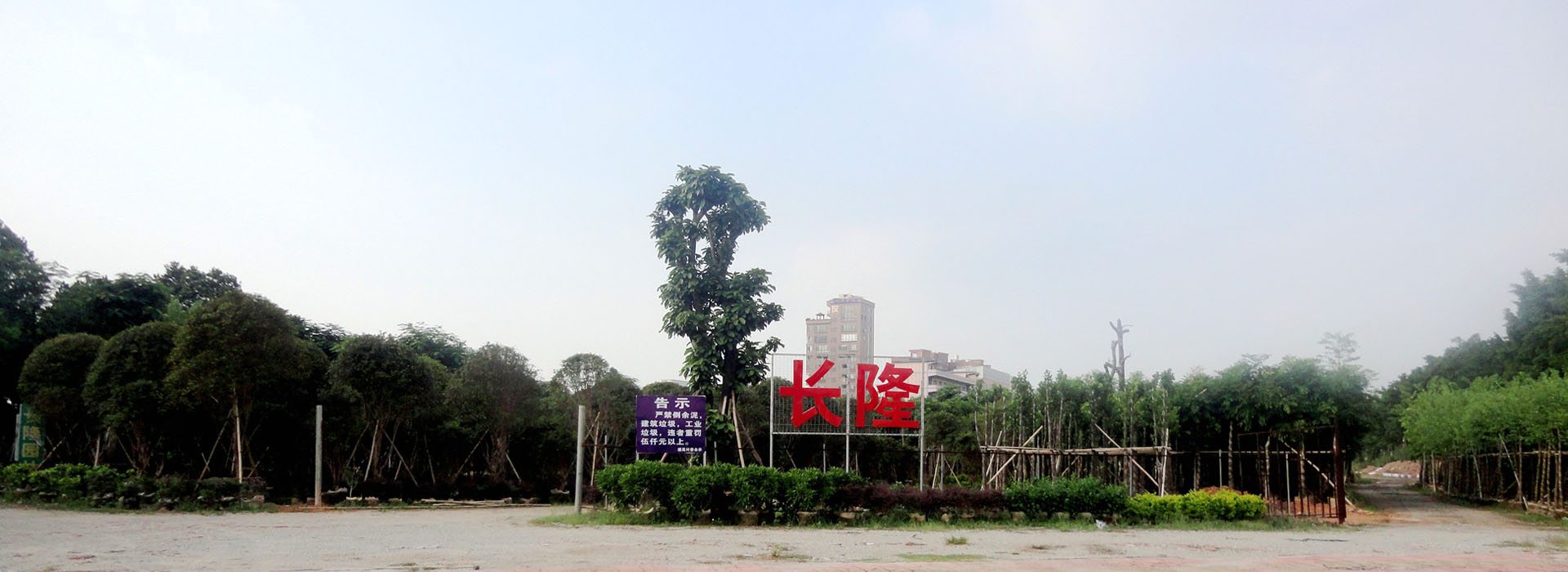 專業的綠化養護團隊